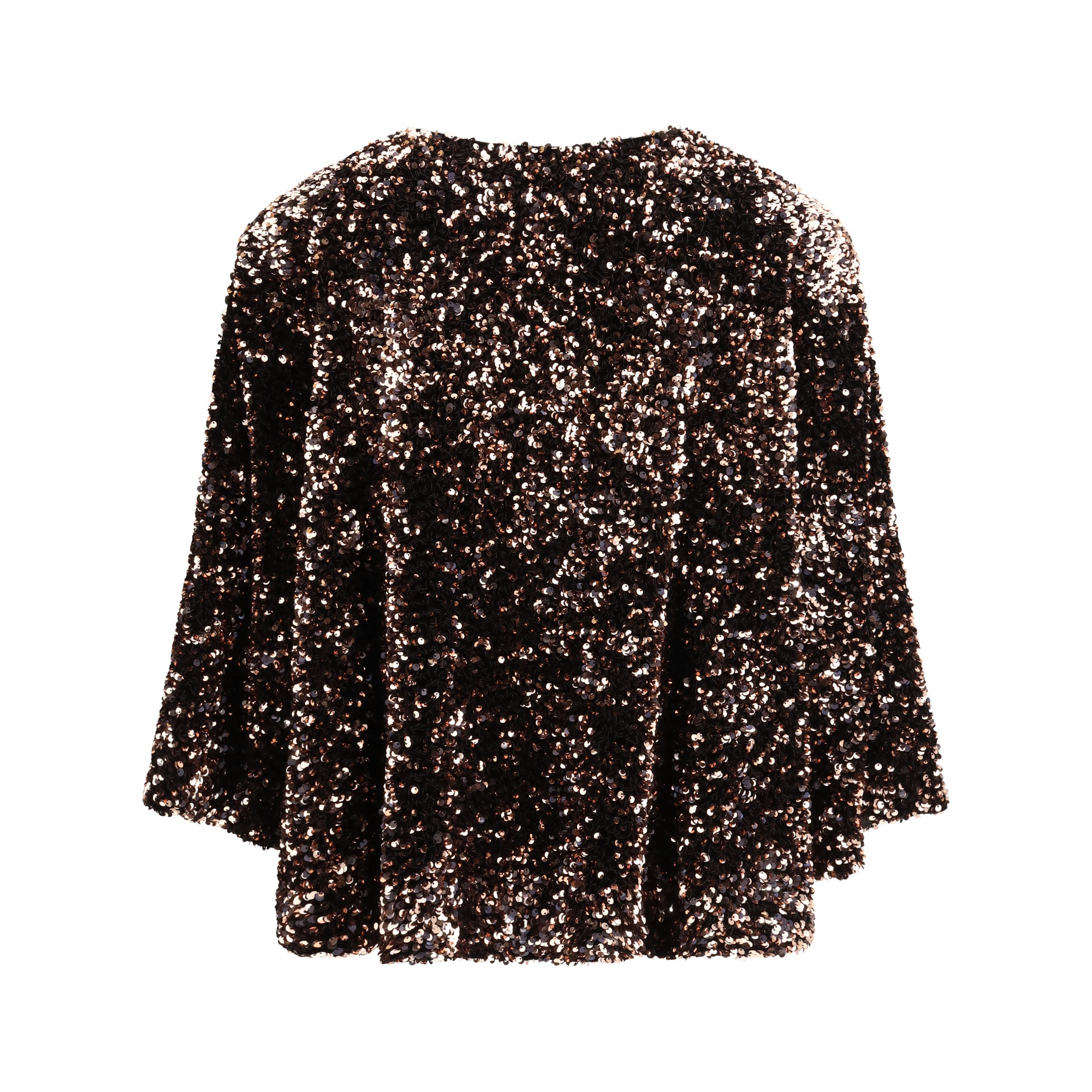 Sequined Blouse