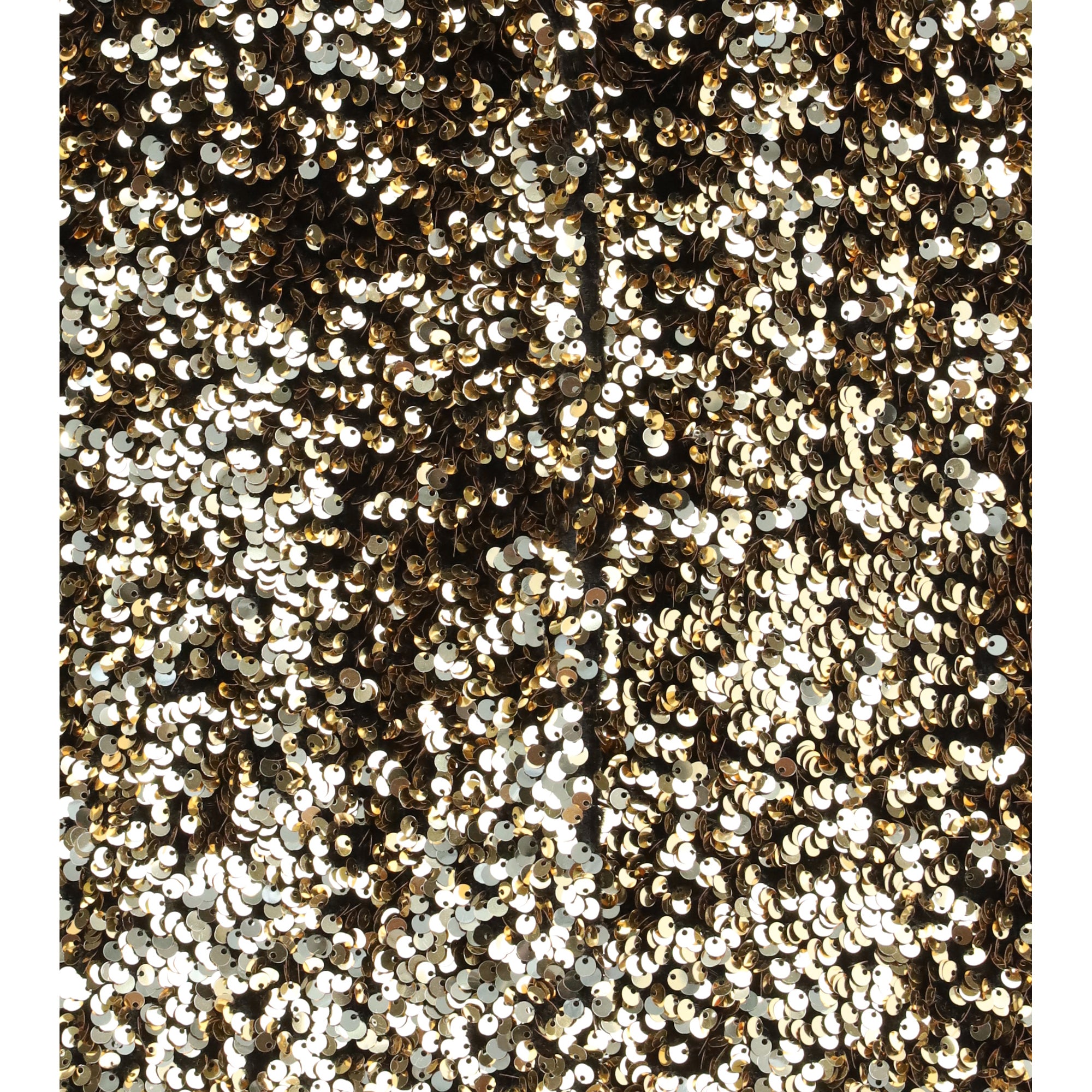 Single-breasted Jacket with sequins