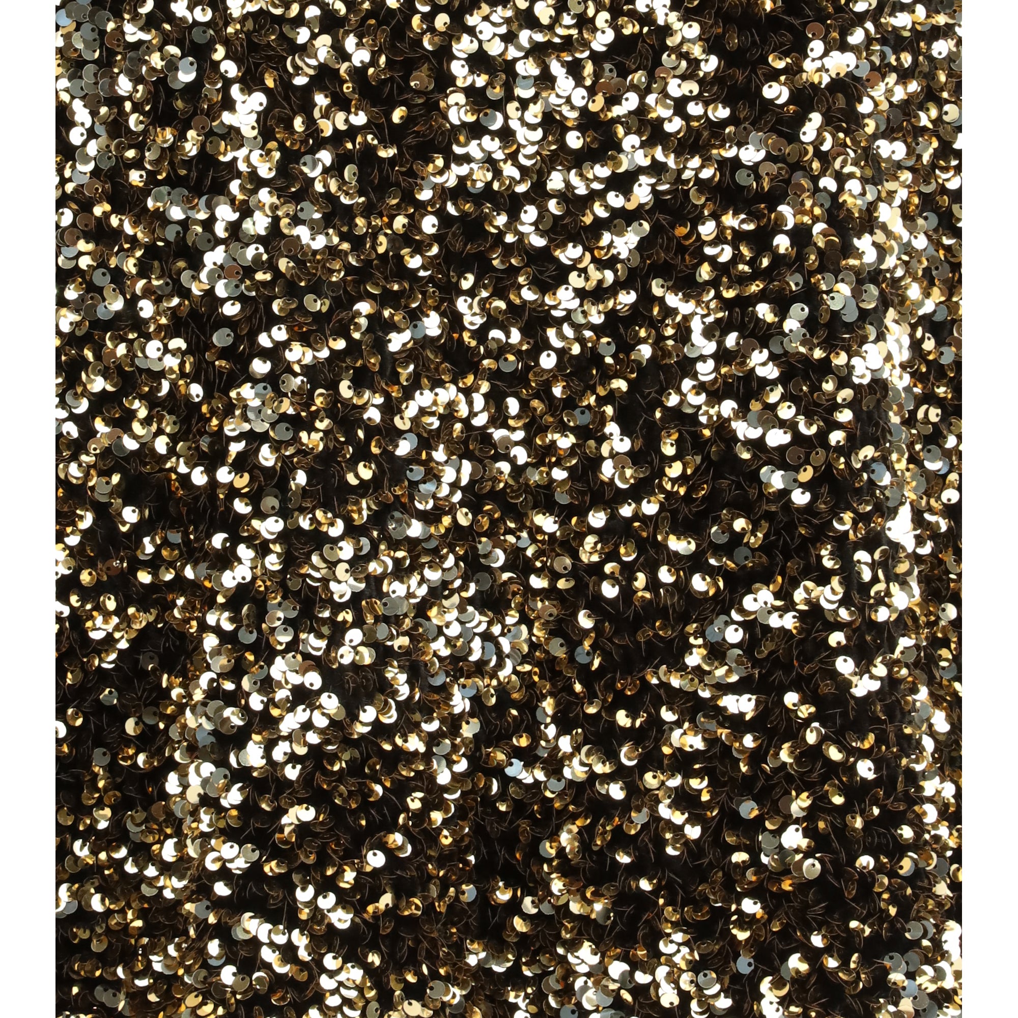 Sequined Blouse