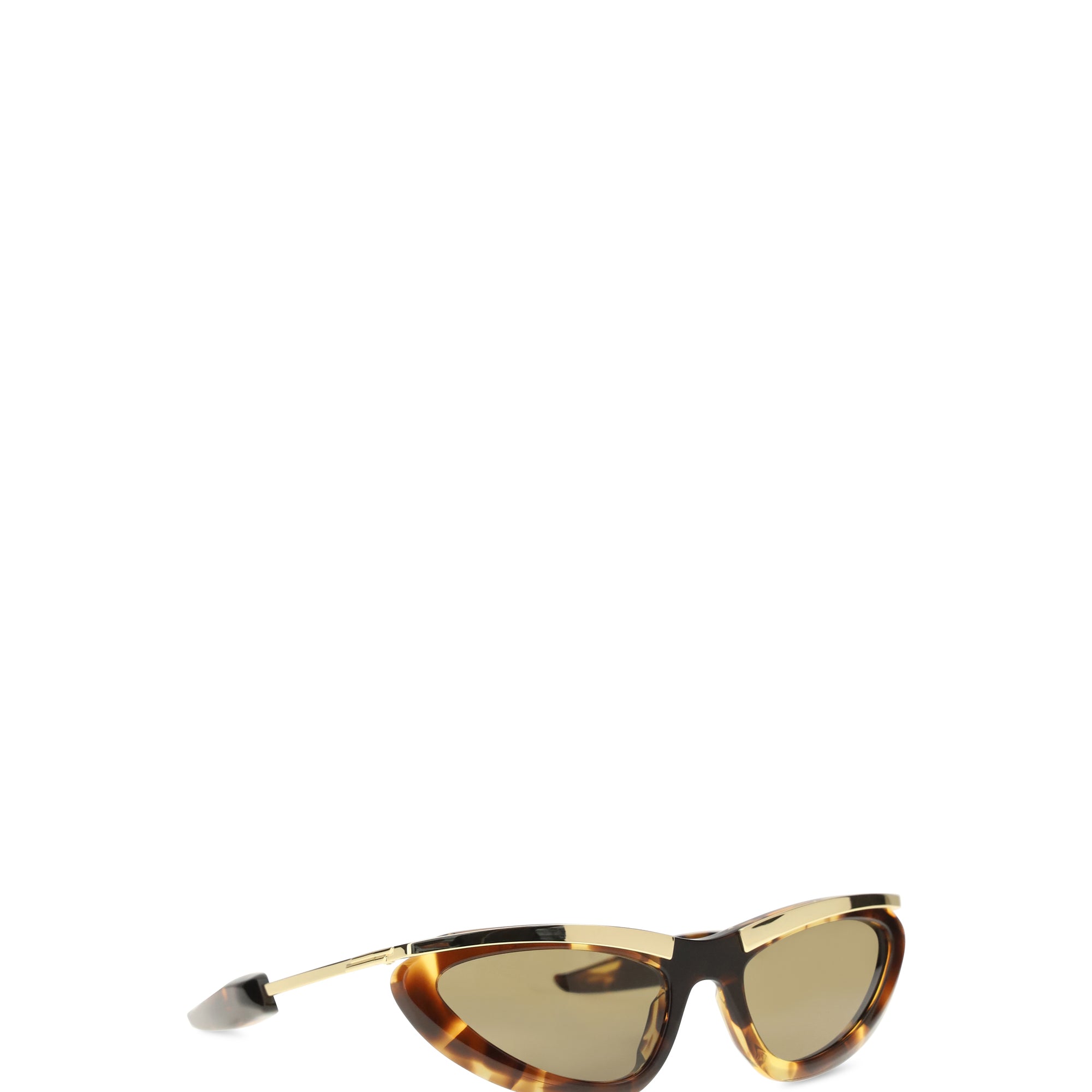 Prisma cat-eye Sunglasses