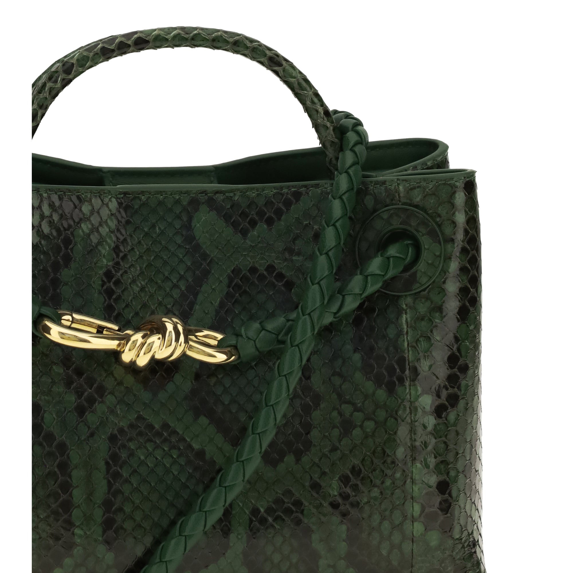 Andiamo python Handbag