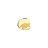 Drop Ring