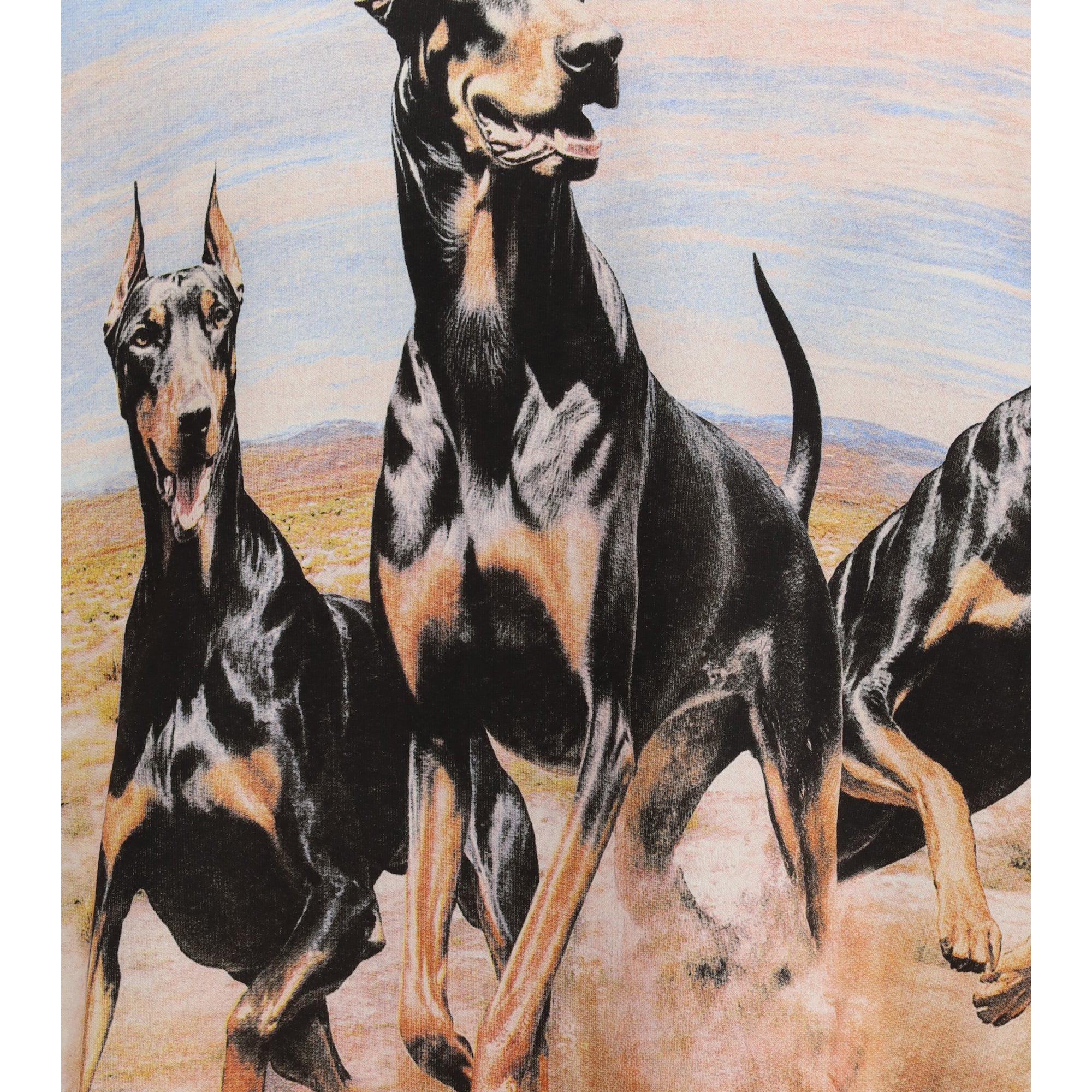 Western Dobermans Hoodie