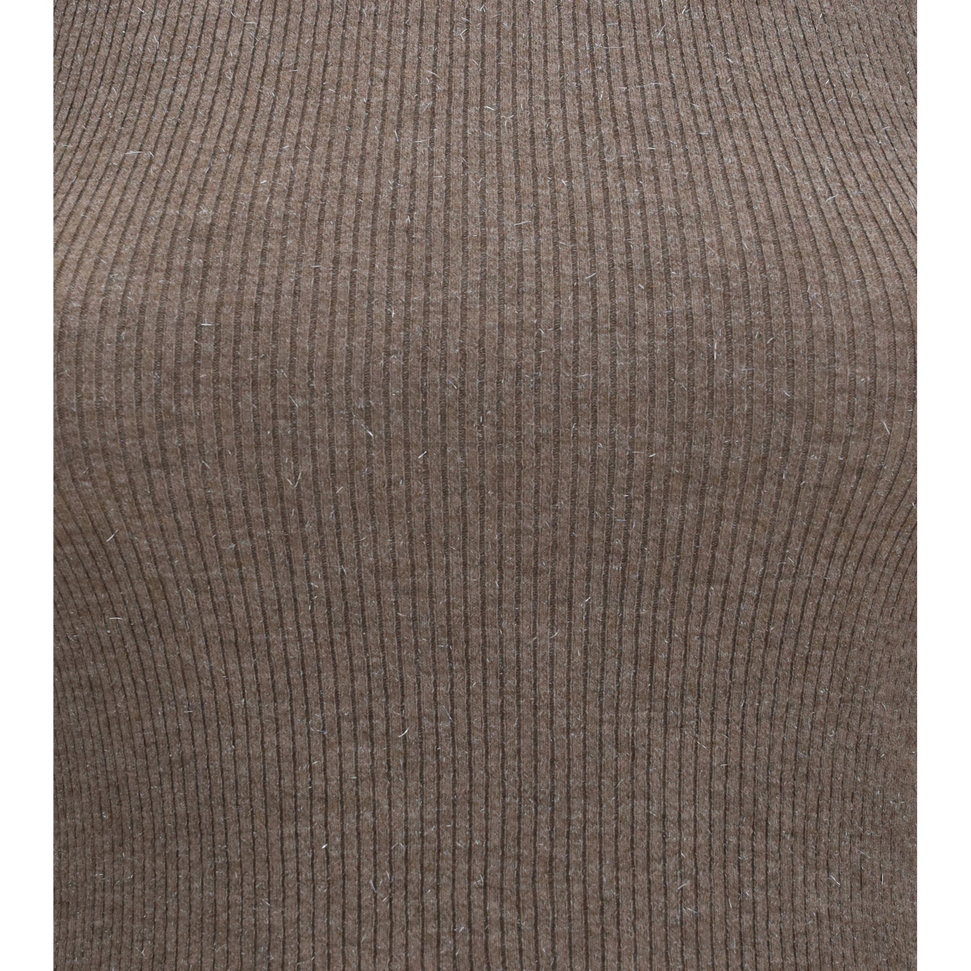 Sleeveless Turtleneck with luminous details