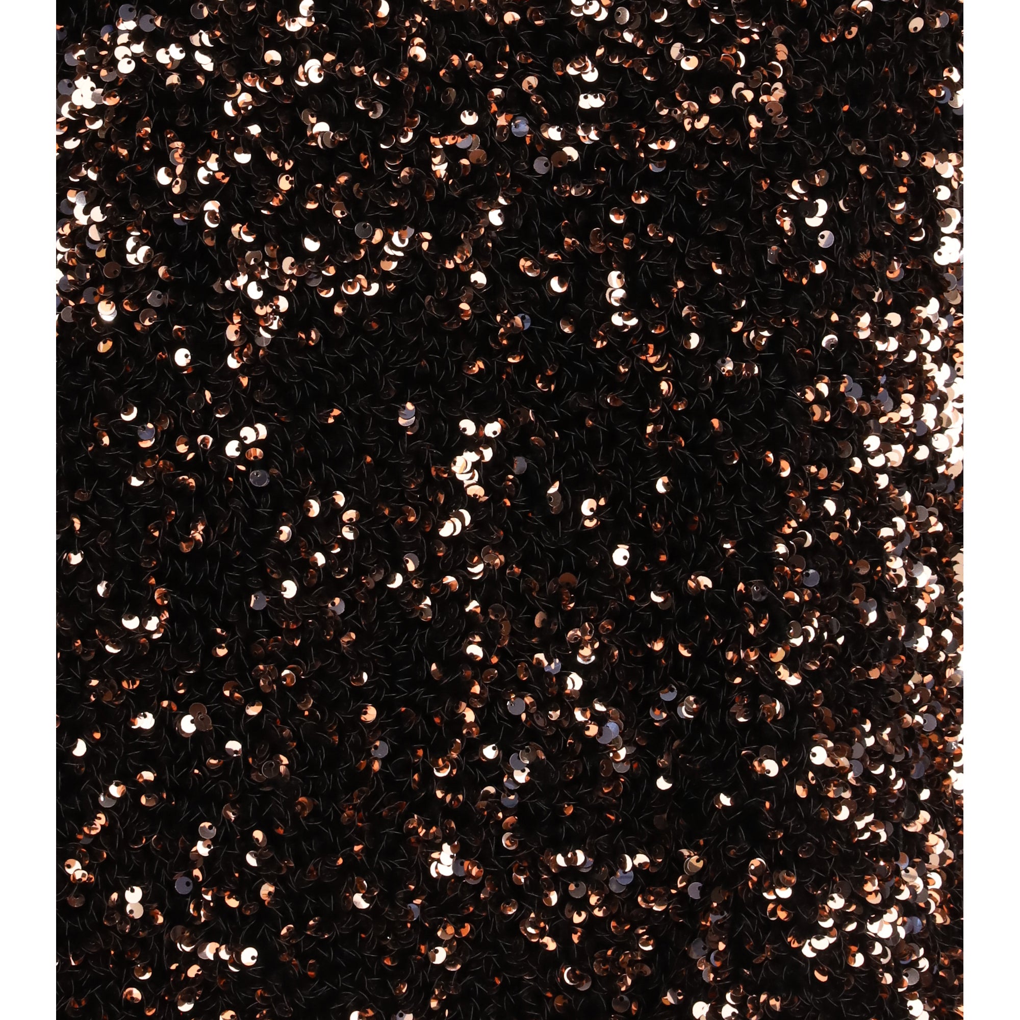 Sequined Blouse