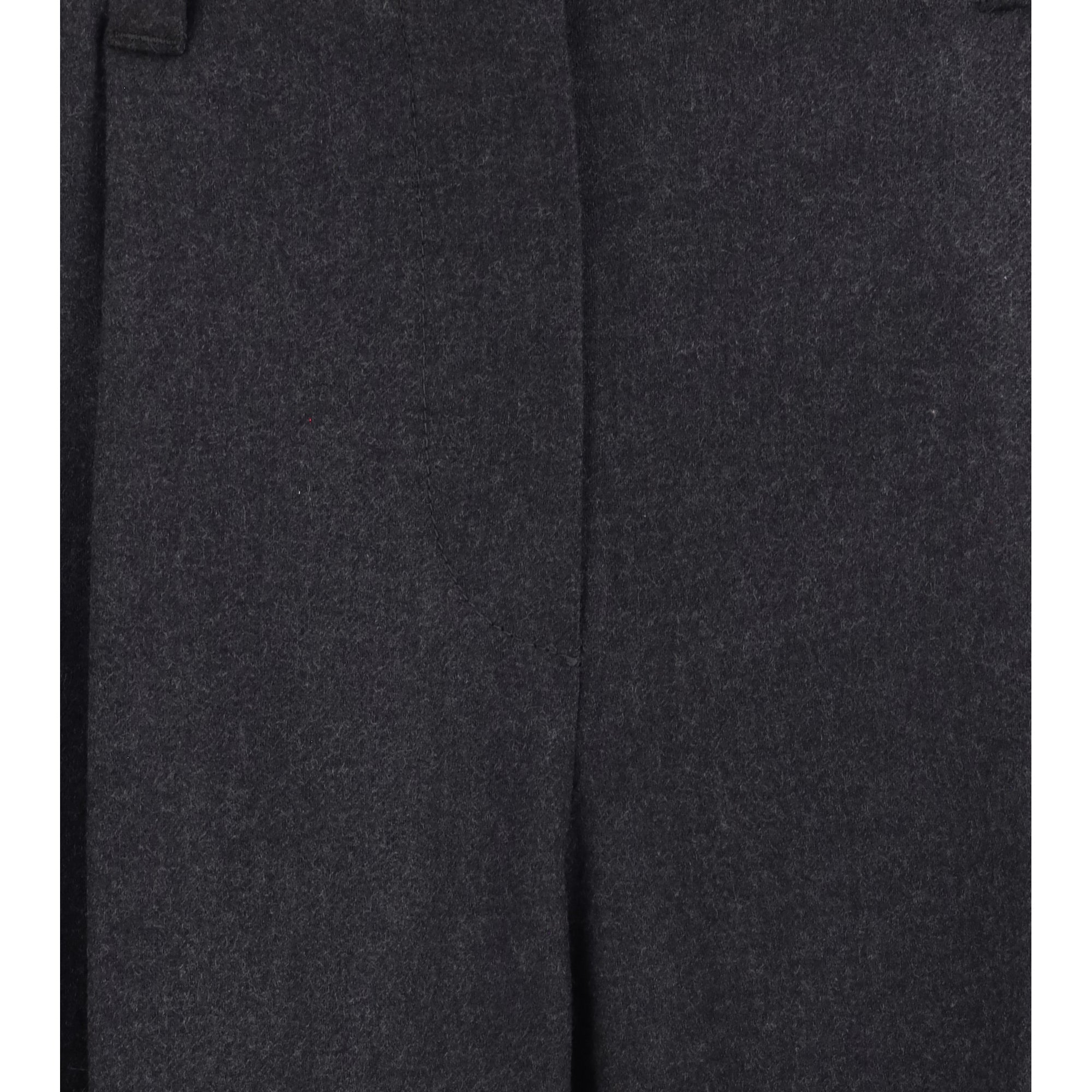 Tailored virgin wool Pants