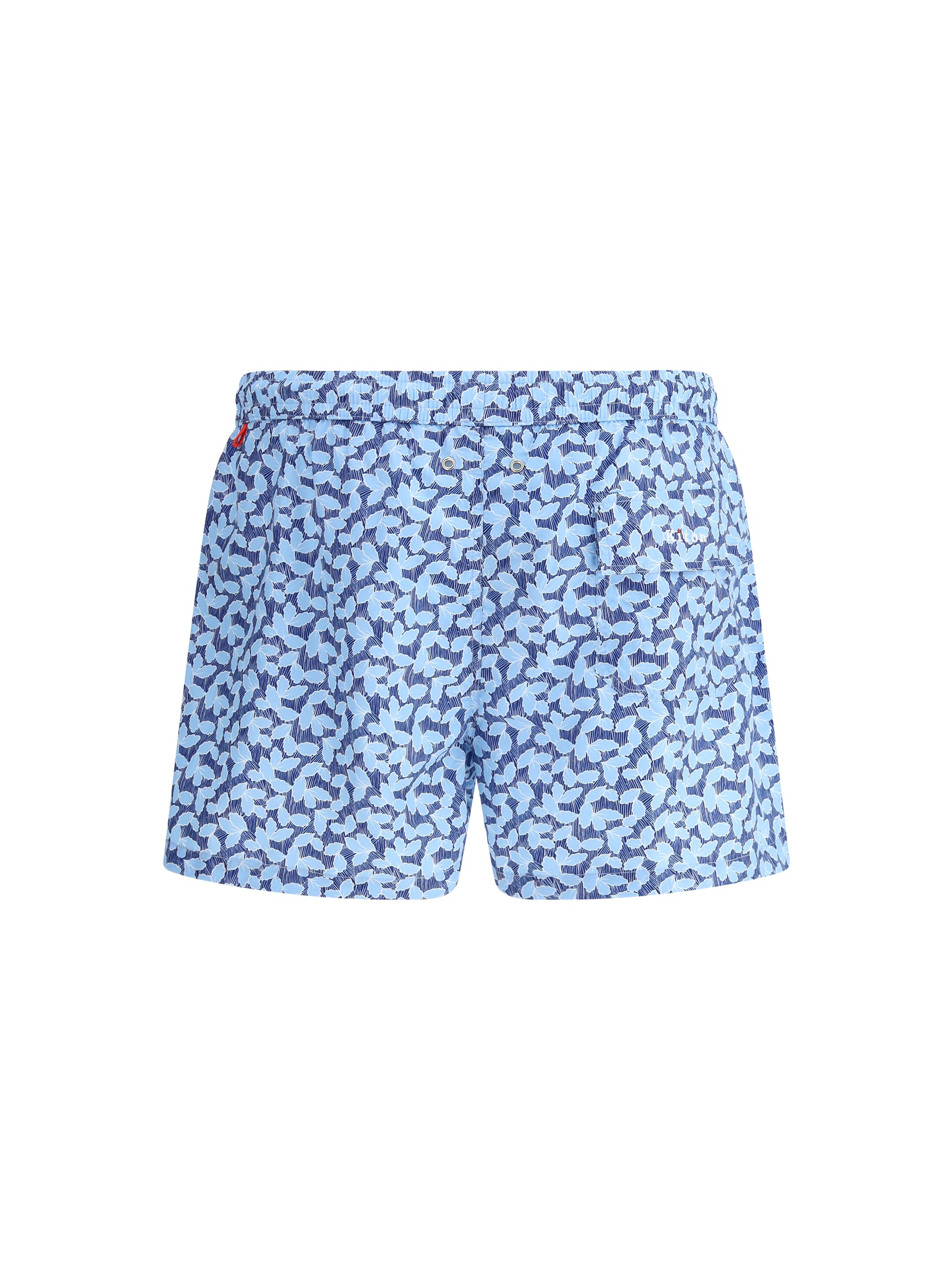 Slide image