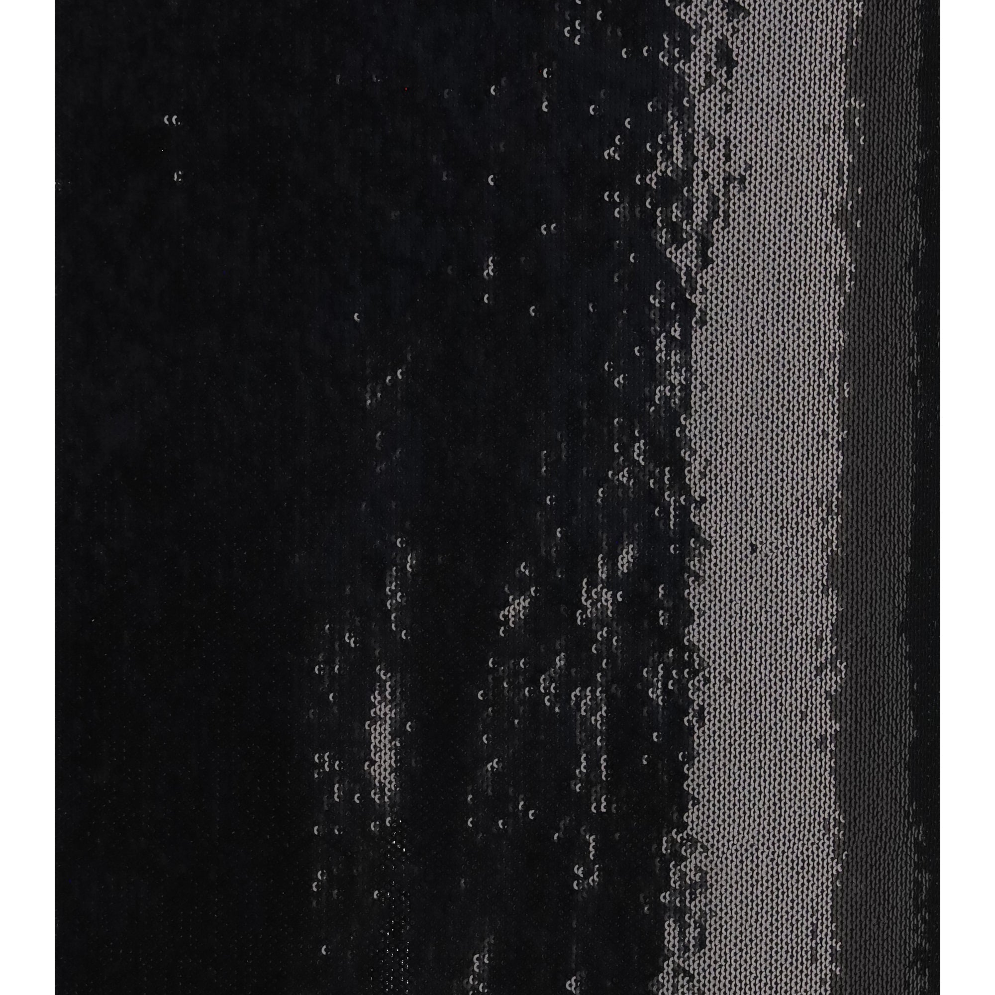 Sequin Skirt
