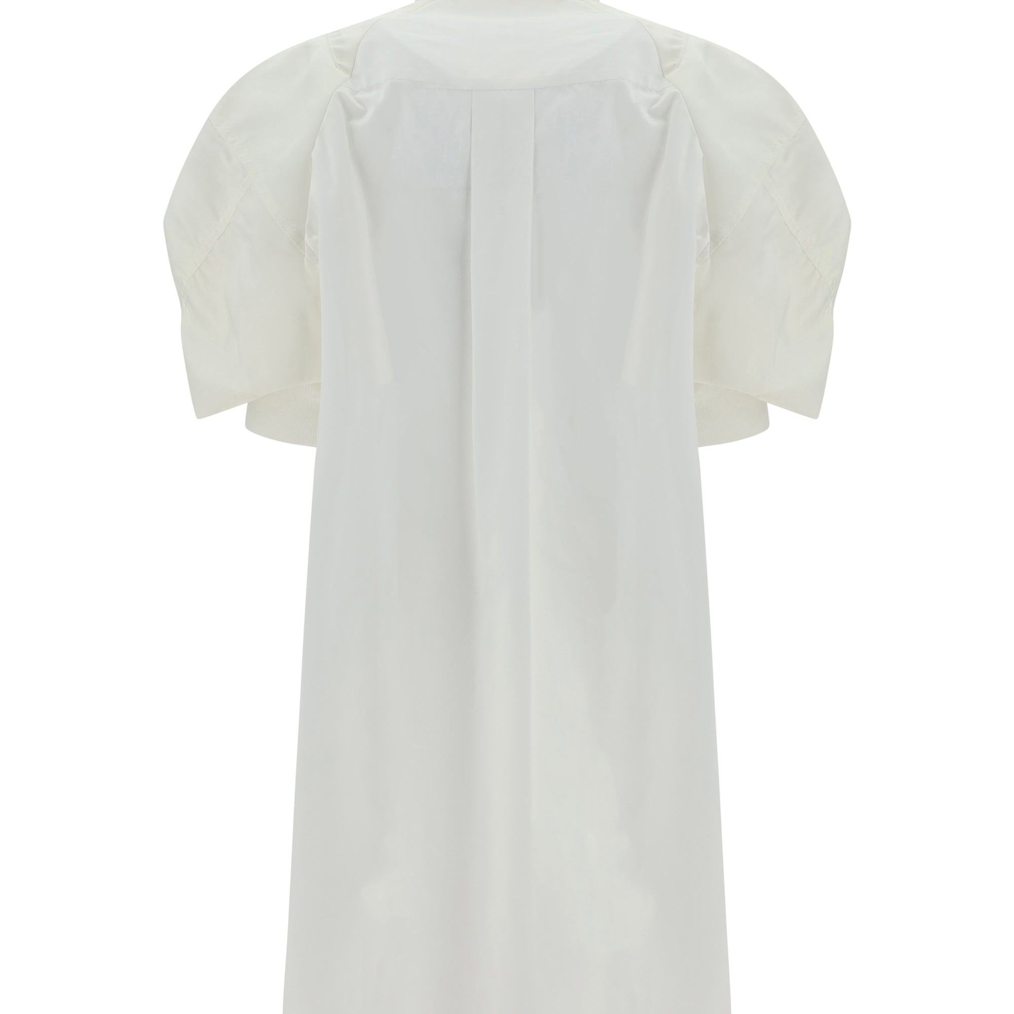 Chemisier Dress