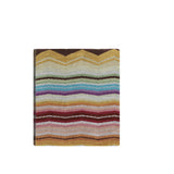 Hugo Beach Towel