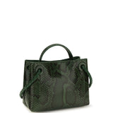 Andiamo python Handbag
