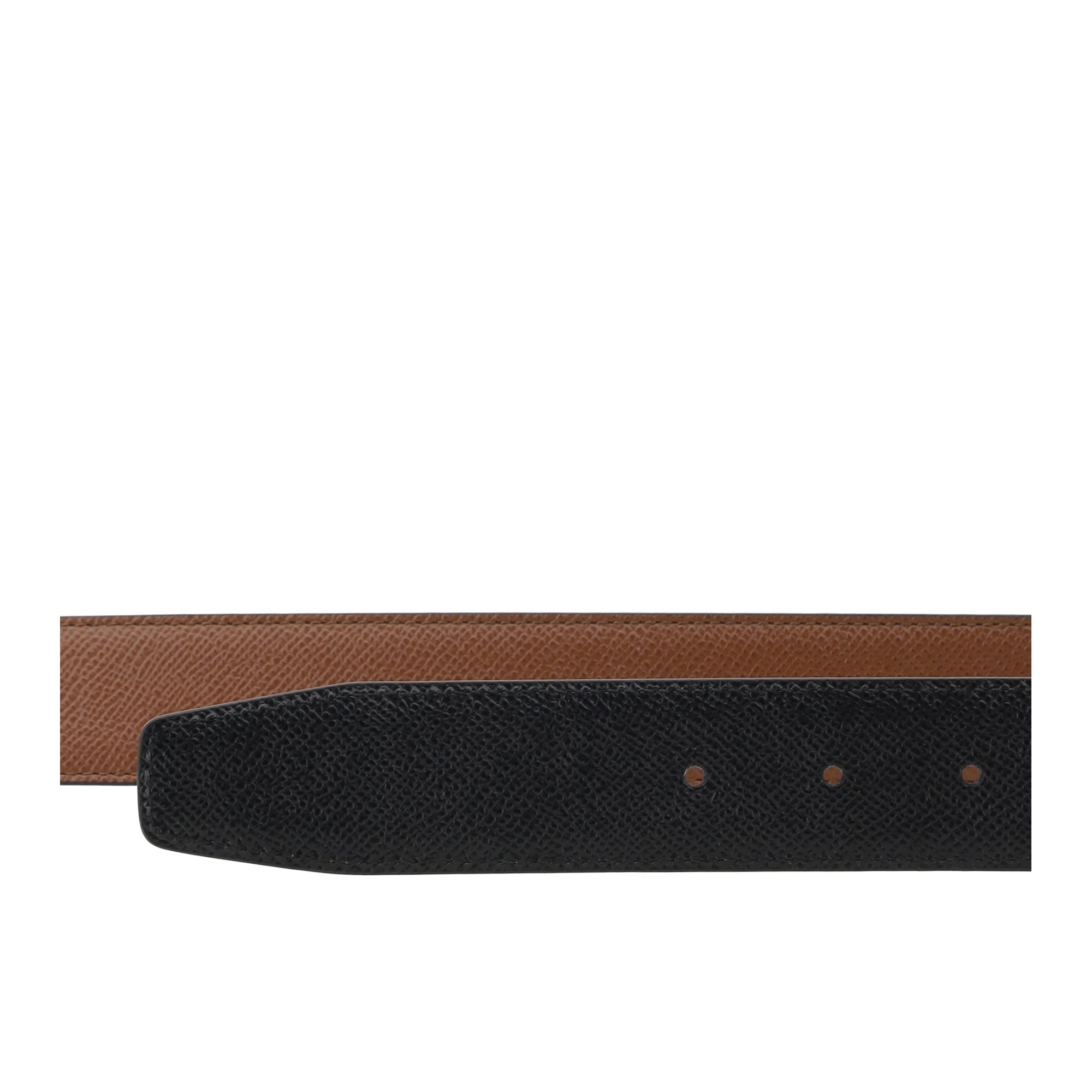 ADJUSTABLE AND REVERSIBLE BELT