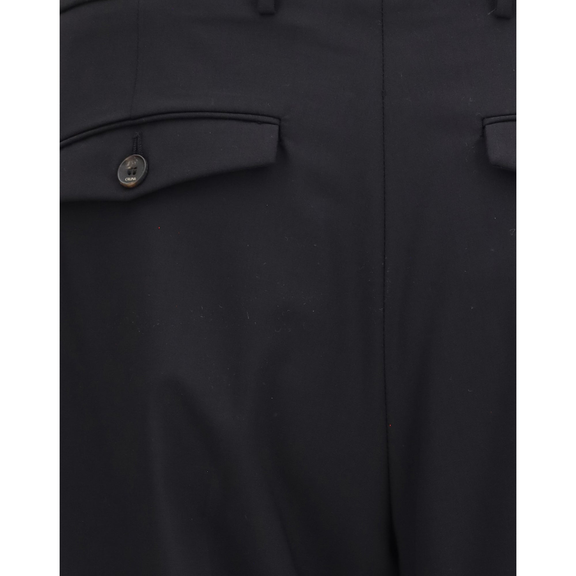 Carrot fit single pleat Pants in virgin wool