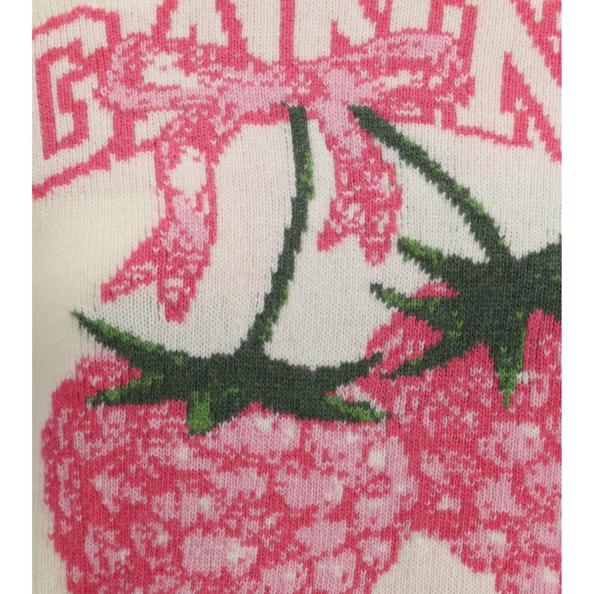 Crewneck Sweater with raspberries print