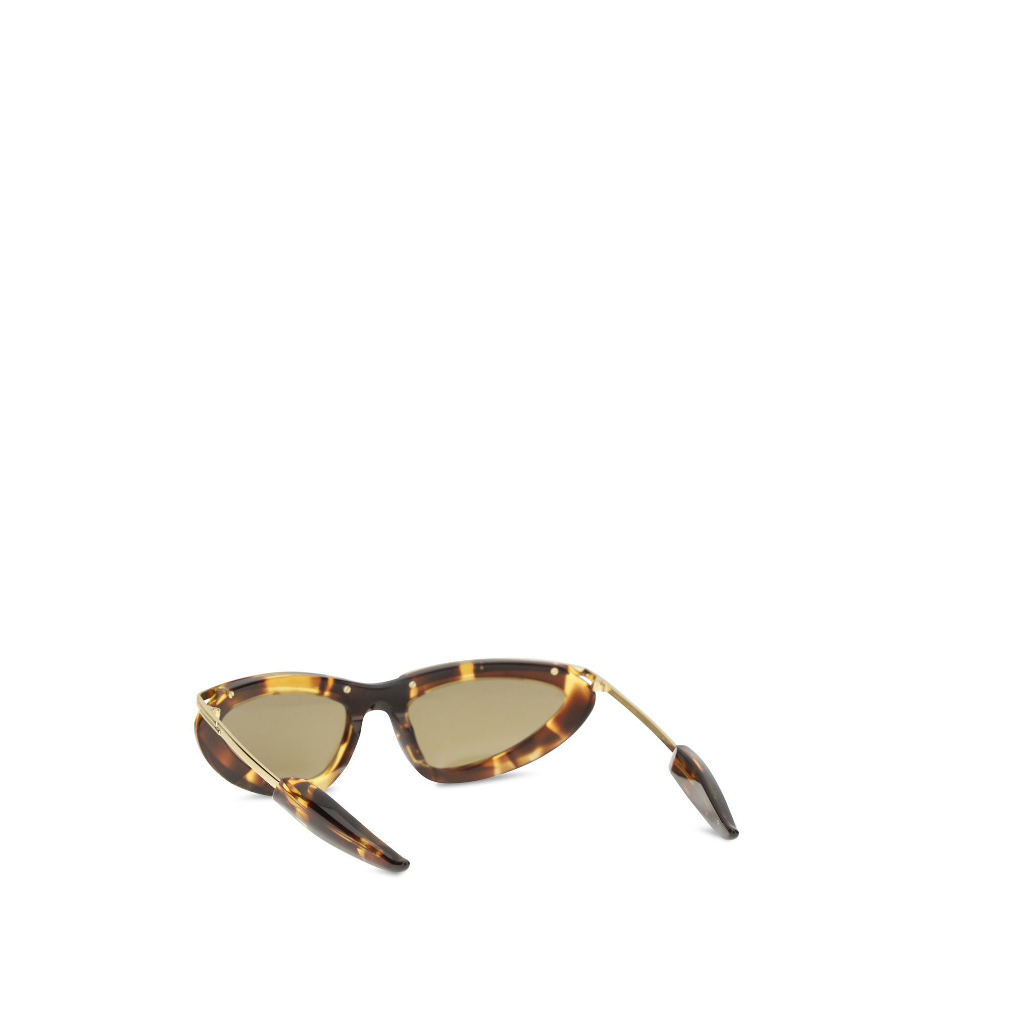 Prisma cat-eye Sunglasses