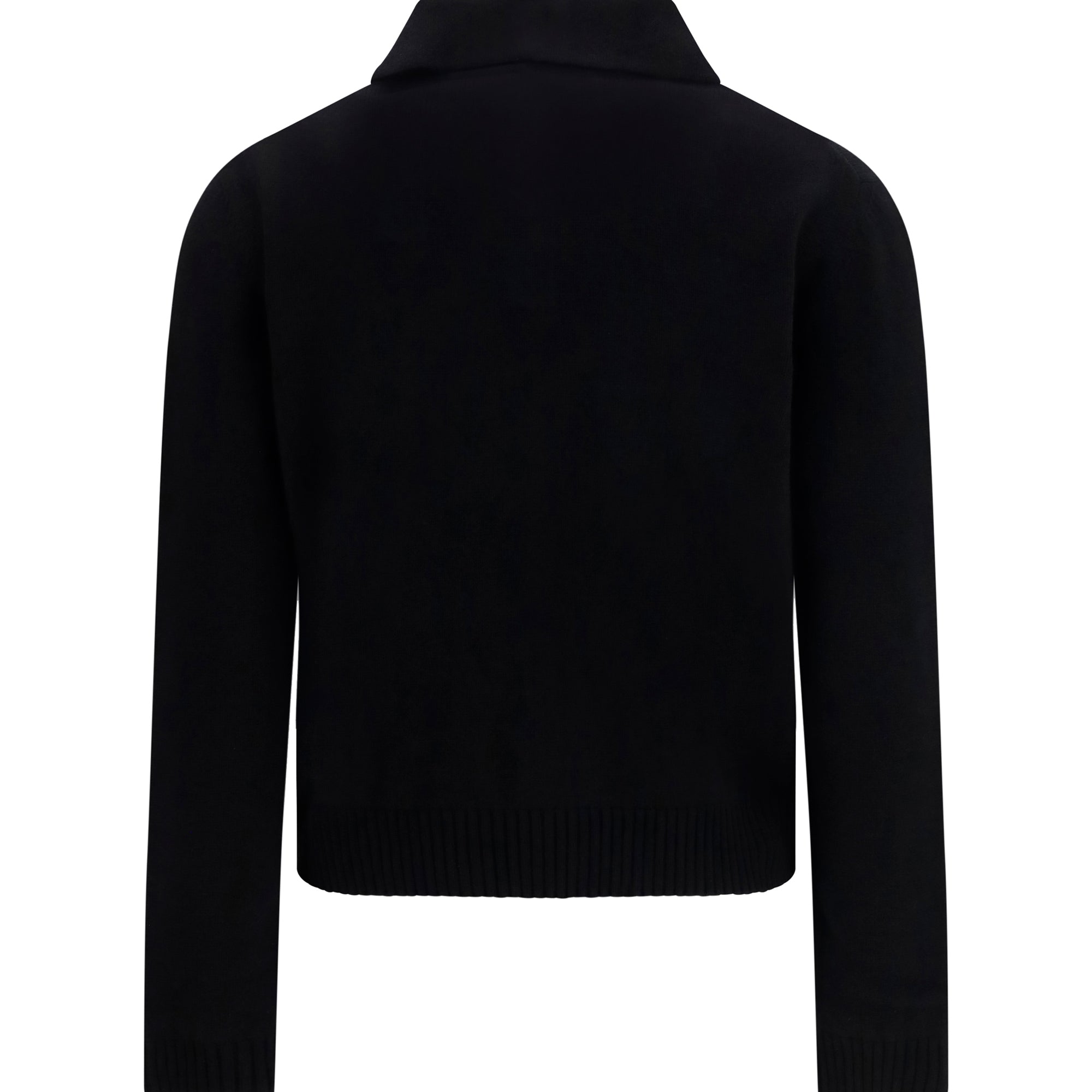 Wool and cashmere polo Sweater